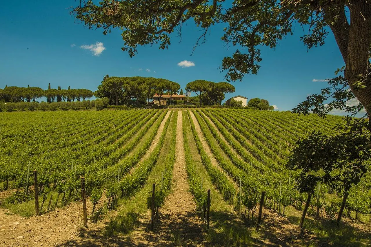 Farm stay Fattoria Di Magliano Winery Villa Magliano in Toscana Italy
