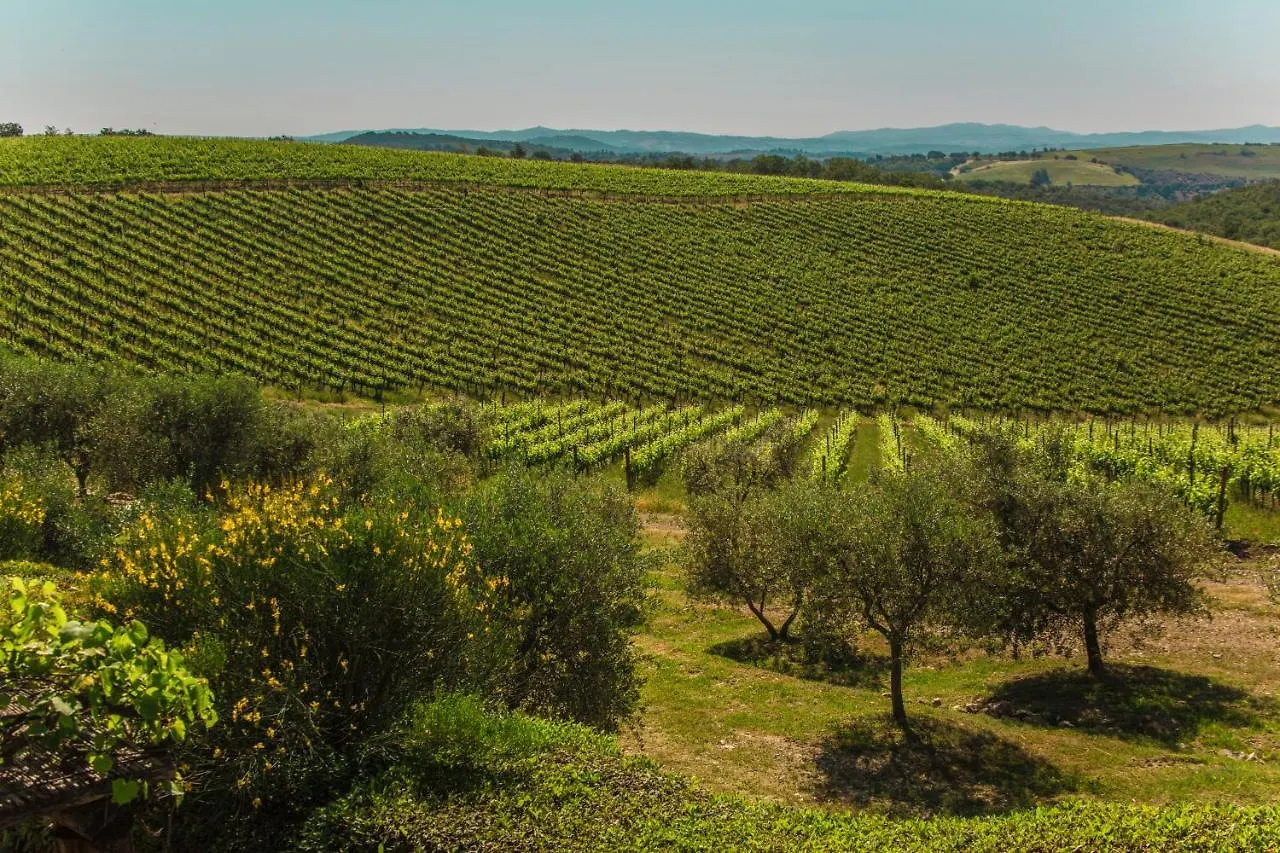 Farm stay Fattoria Di Magliano Winery Villa Magliano in Toscana Italy