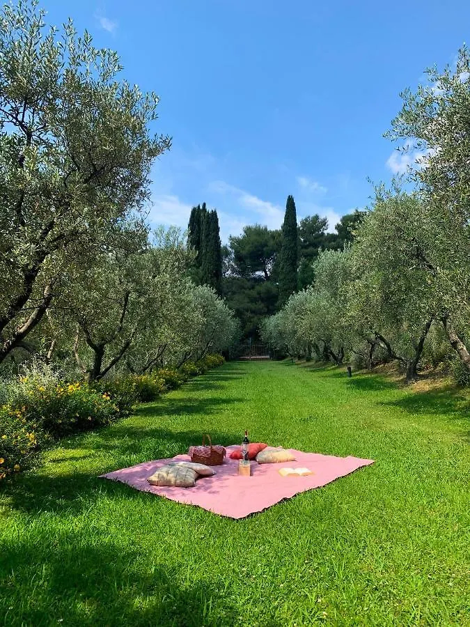הוילה מליאנו אין טוסקנה Fattoria Di Magliano Winery