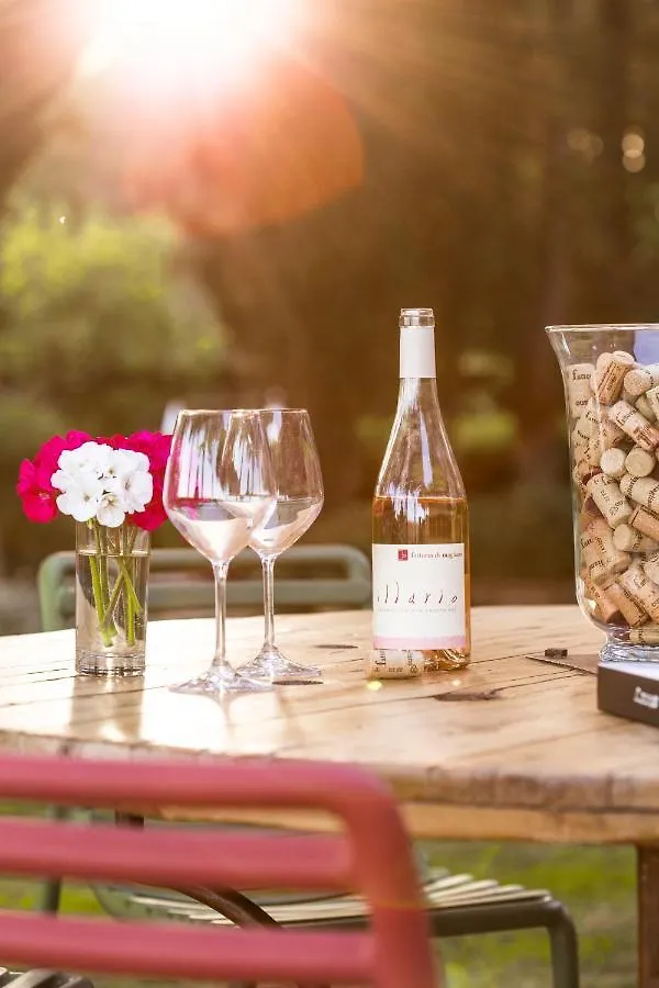 Farm stay Fattoria Di Magliano Winery Villa Magliano in Toscana